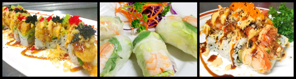 Aroy Thai & Sushi - St. Petersburg, FL 33708 (Menu & Order Online)